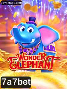 Tudo sobre WonderElephant: O Jogo Inovador que Conecta Pessoas pelo Mundo
